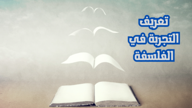 تعريف التجربة في الفلسفة