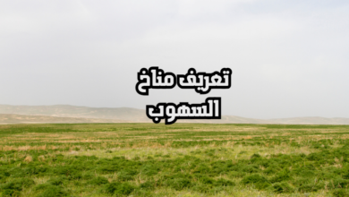 تعريف مناخ السهوب